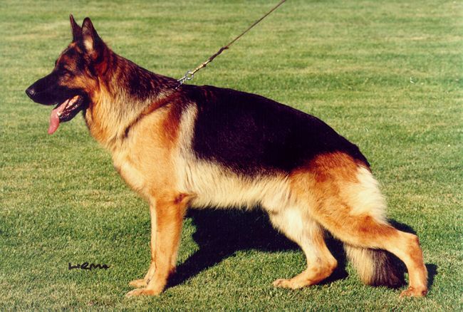 Pan von der Jahnhöhe