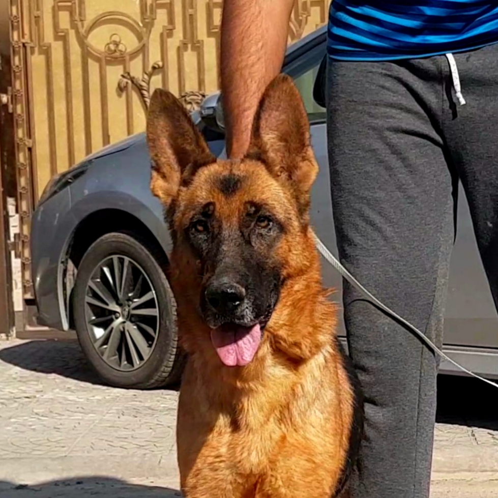 Desty vom Team Panoniansee