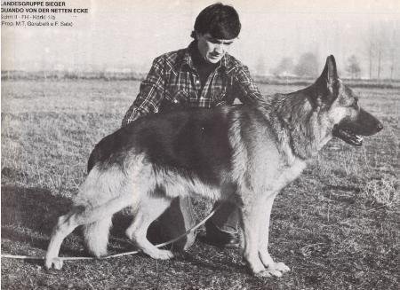 Quando von der netten Ecke