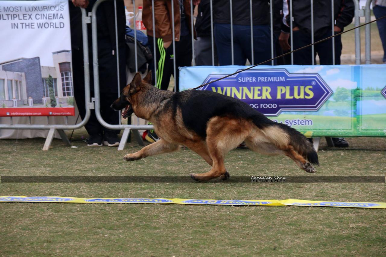 Nicki vom The Team Valancia