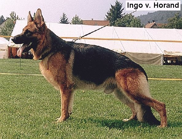 Image not found