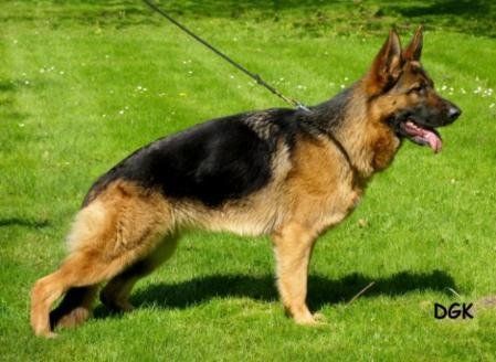 Yasmin van Nieuwlandshof