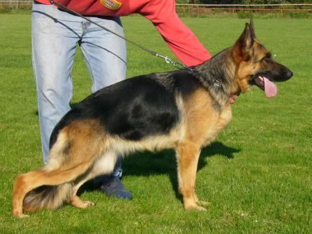 Henni vom Hühnegrab