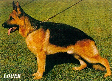 Athos vom Hambachtal