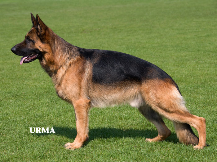 Clinten vom Holtkämper See