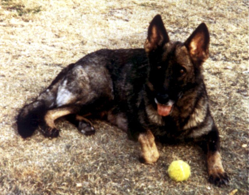 Afra vom Stoppenberger Land