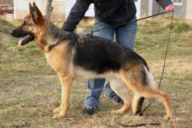 Chereshnya Zilber Wasserfall