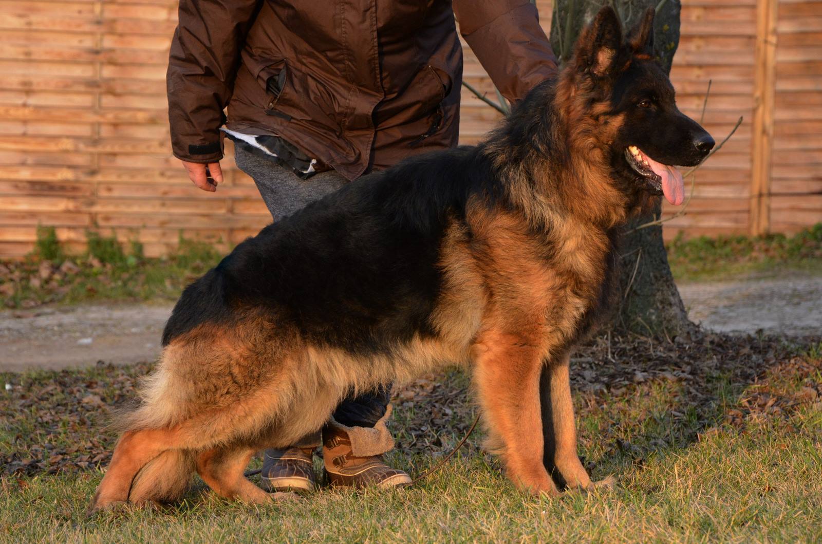 Boss z Krywlan
