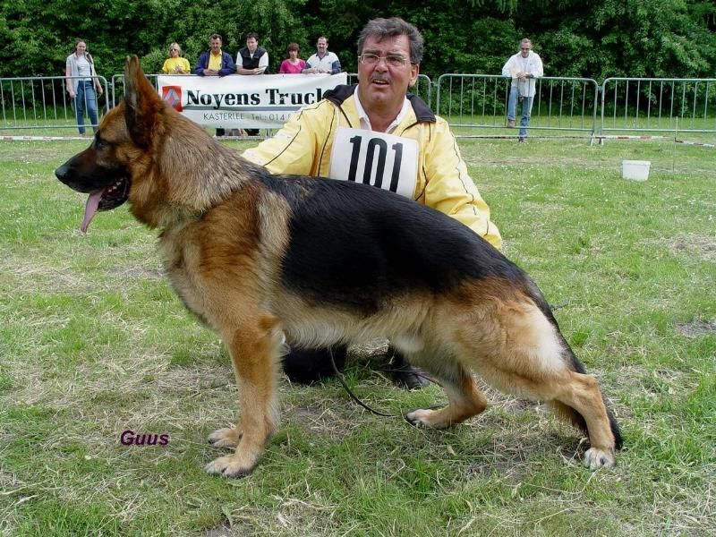 Image not found