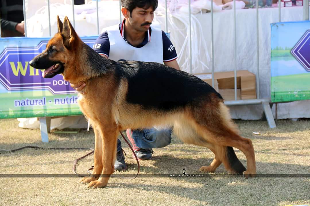 Image not found