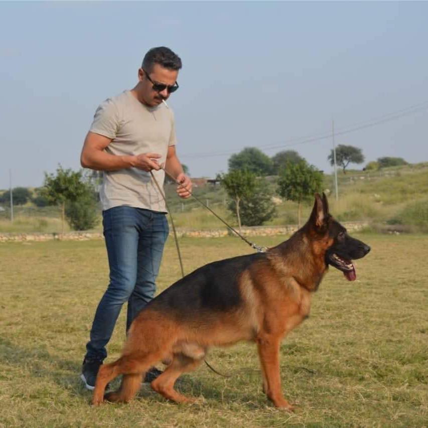 https://www.gsdcp.com/public/members/profile_pic/FB_Cover1.jpg